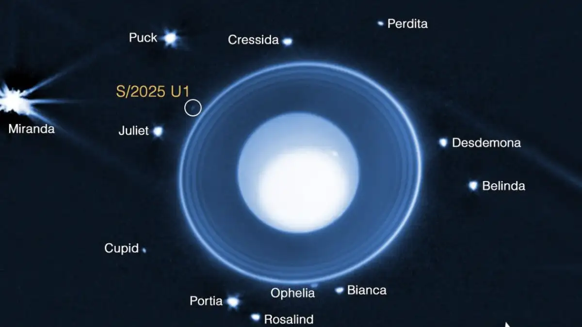 james webb, luna urano, nuova luna, telescopio spaziale, scoperte astronomiche, nasa, orbita urano